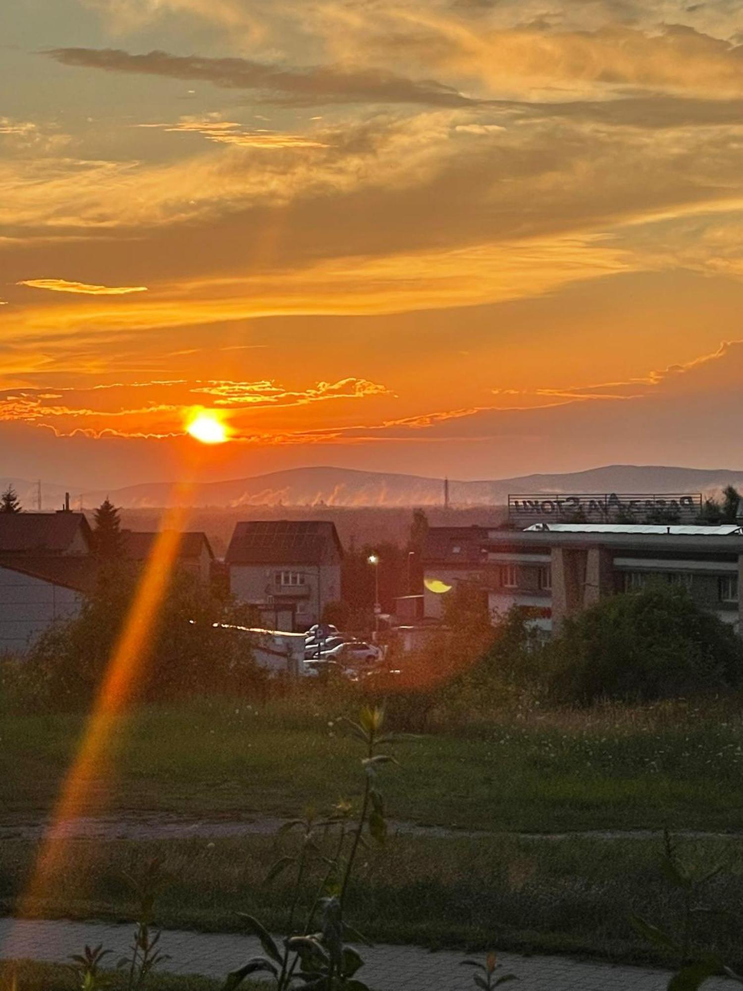 Apartament Laura Z Ogrodkiem Kielce Dış mekan fotoğraf
