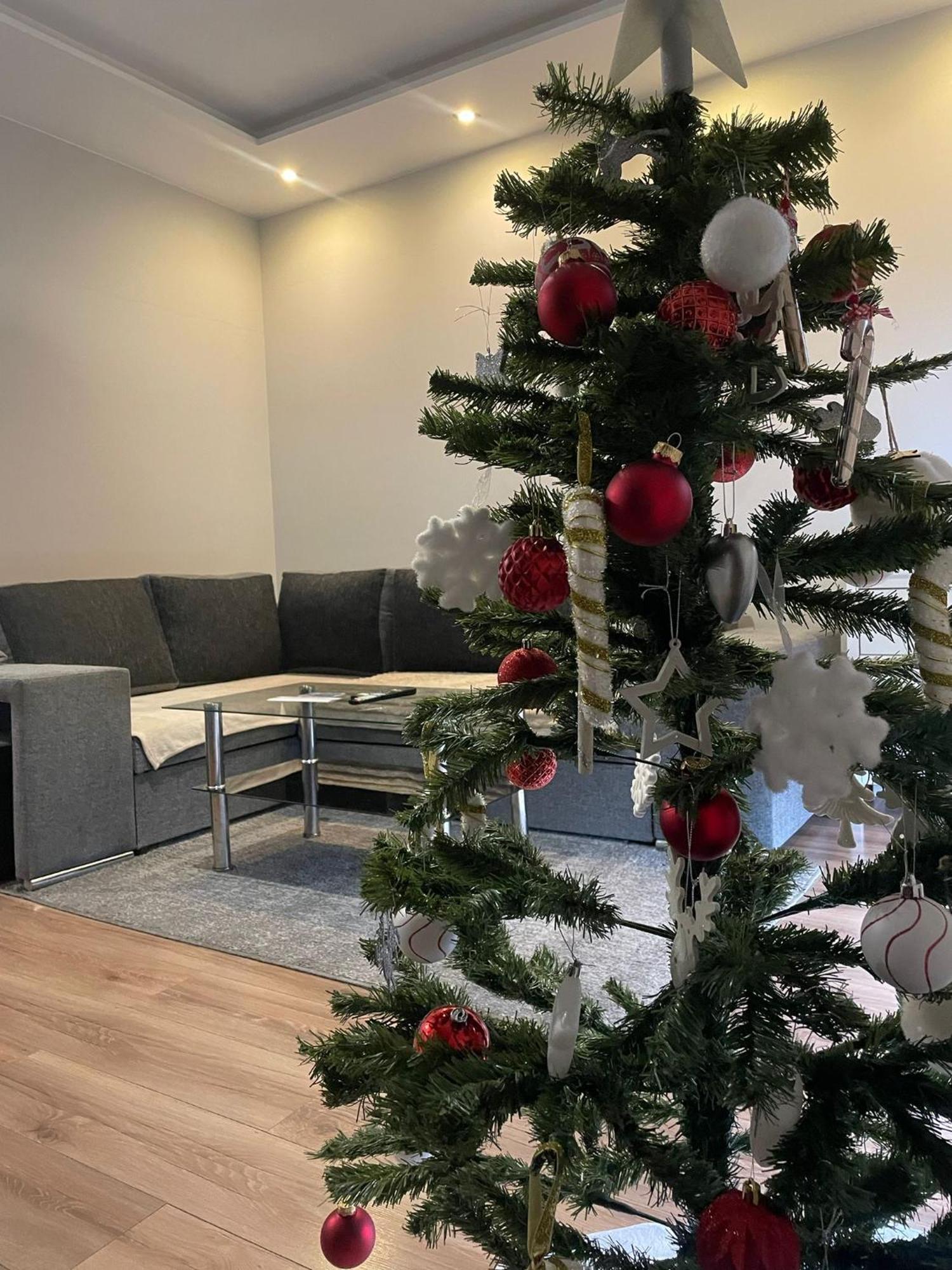 Apartament Laura Z Ogrodkiem Kielce Dış mekan fotoğraf